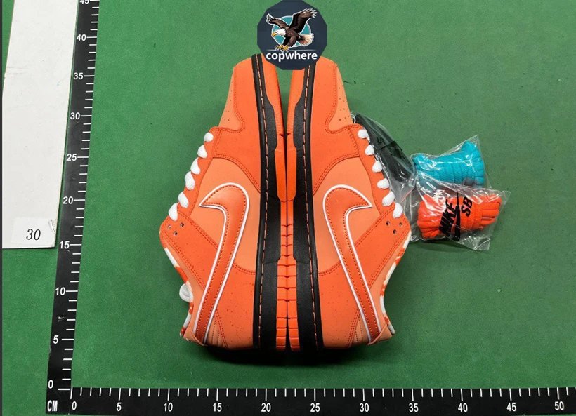 Nike Dunk SB Quality Assurance Free Return-6